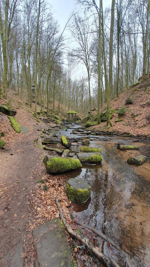 Отель Pension Ernst Im Herzen Des Pfaelzerwaldes Mit Kueche Elmstein Экстерьер фото