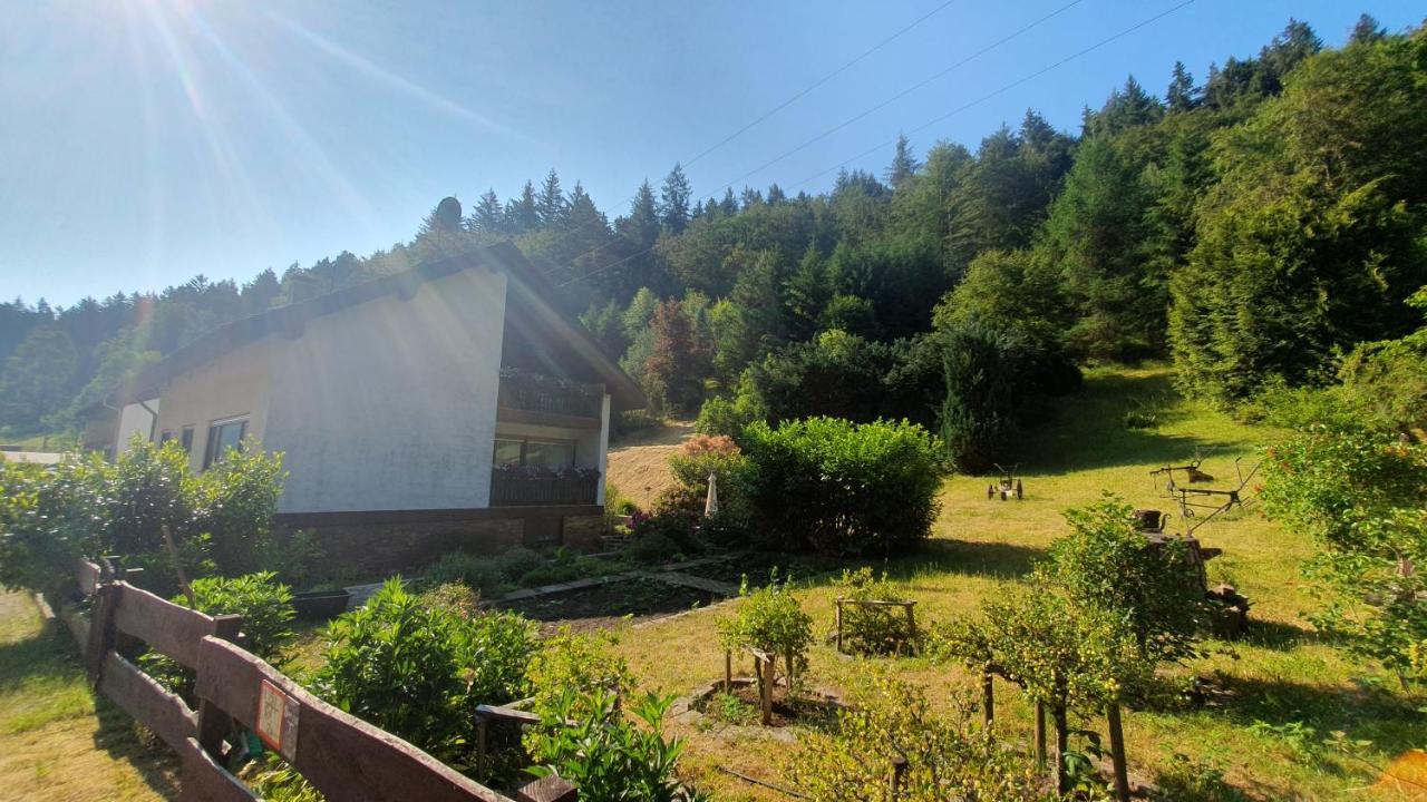 Отель Pension Ernst Im Herzen Des Pfaelzerwaldes Mit Kueche Elmstein Экстерьер фото