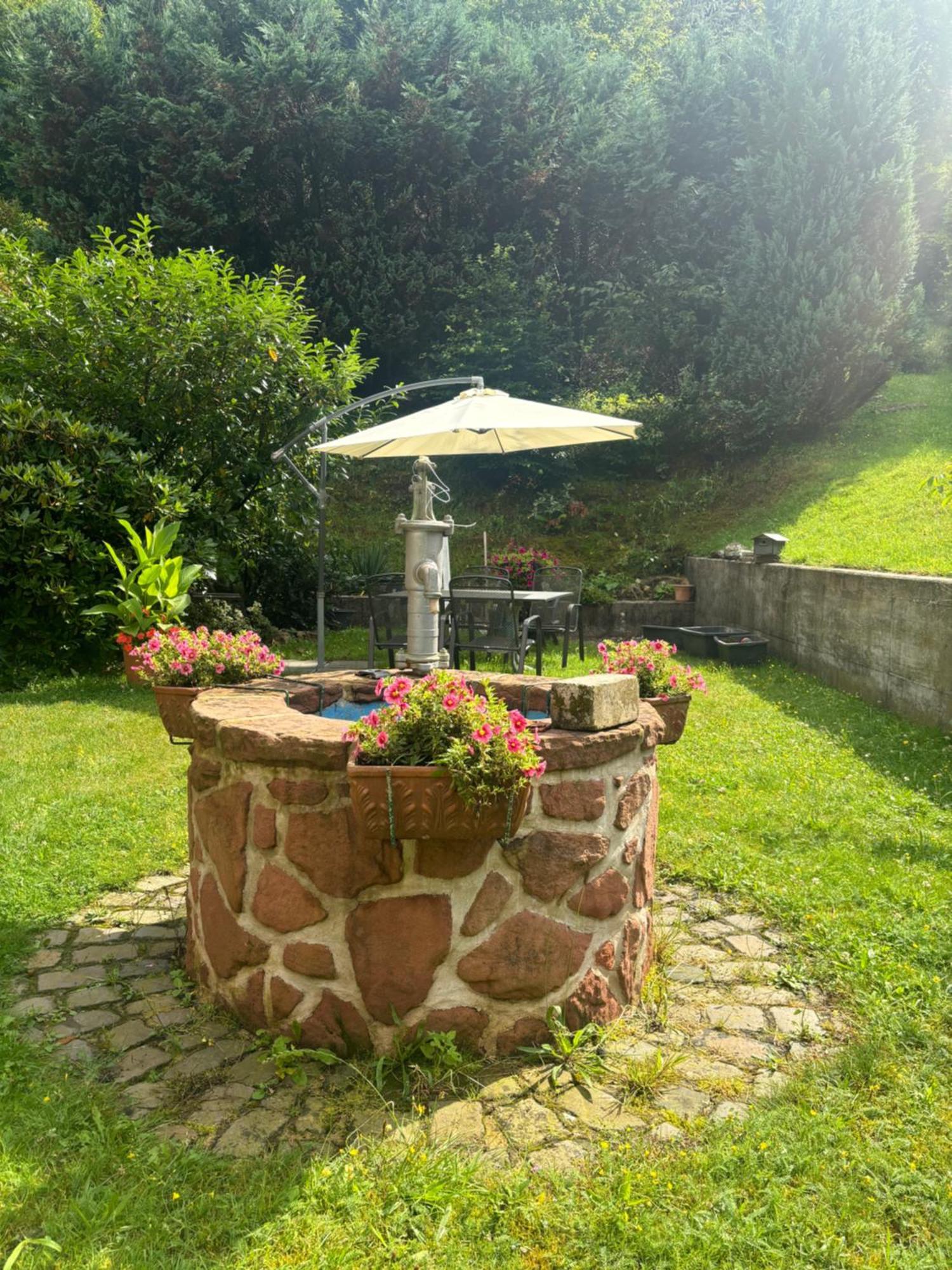 Отель Pension Ernst Im Herzen Des Pfaelzerwaldes Mit Kueche Elmstein Экстерьер фото