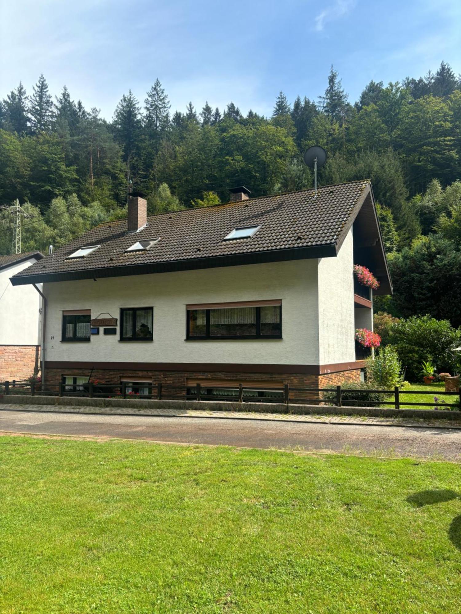 Отель Pension Ernst Im Herzen Des Pfaelzerwaldes Mit Kueche Elmstein Экстерьер фото